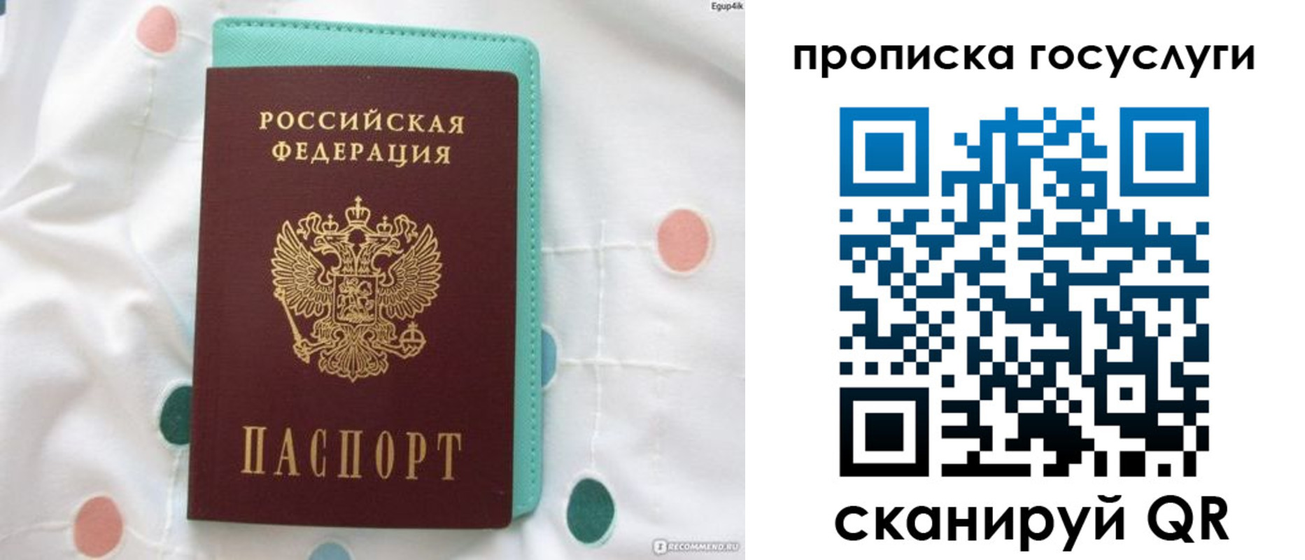 прописка поиск в Болхове